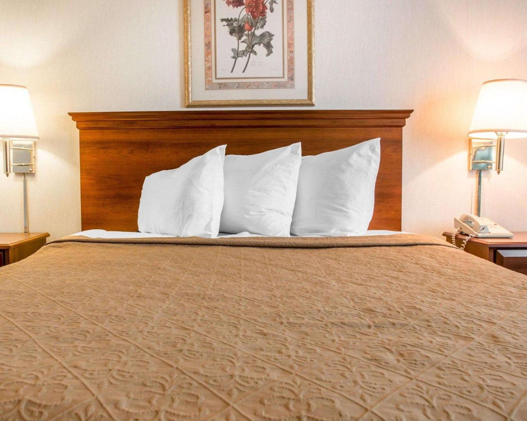 Quality Inn Hudsonville South Eksteriør billede